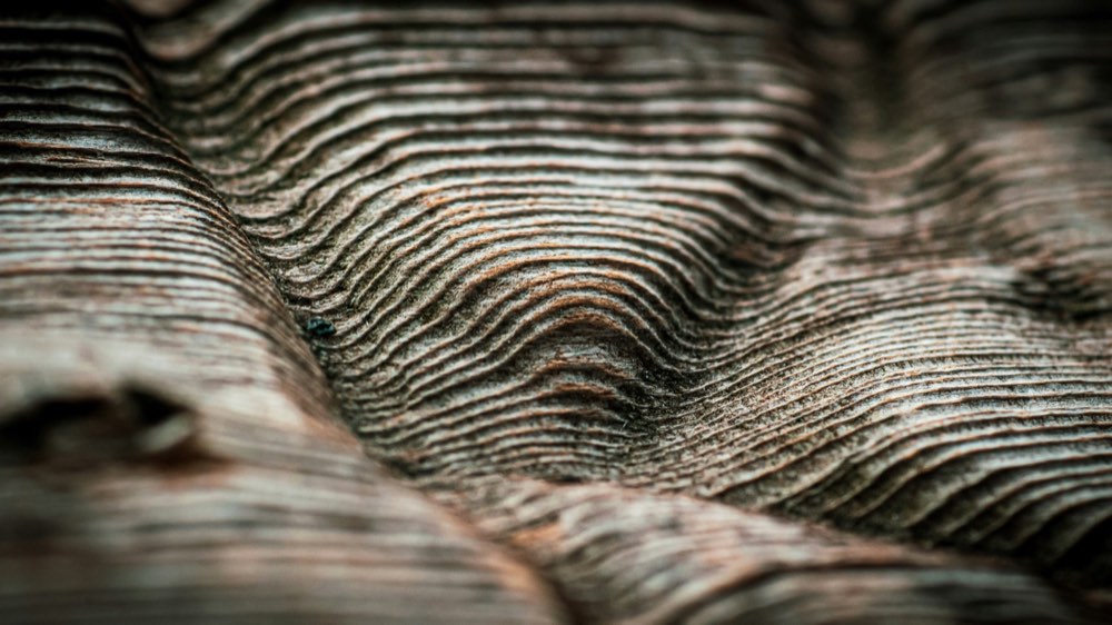 Detalhe aproximado da madeira, com as linhas do veio correndo em ondas paralelas.